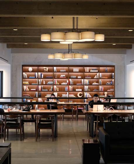 mlda franchise pic 2